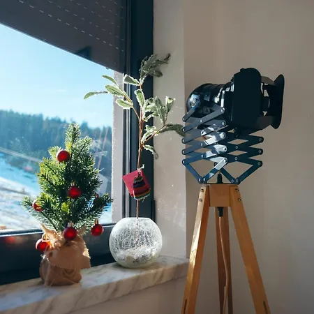 Fica, Ravna Planina Apartment *